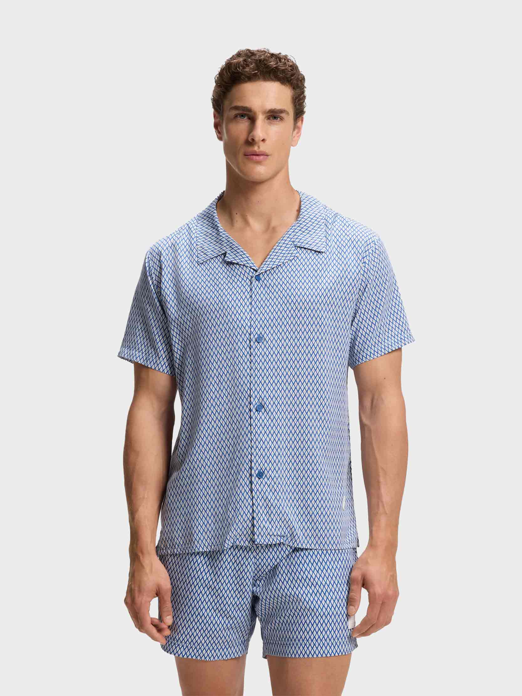 Blue/White