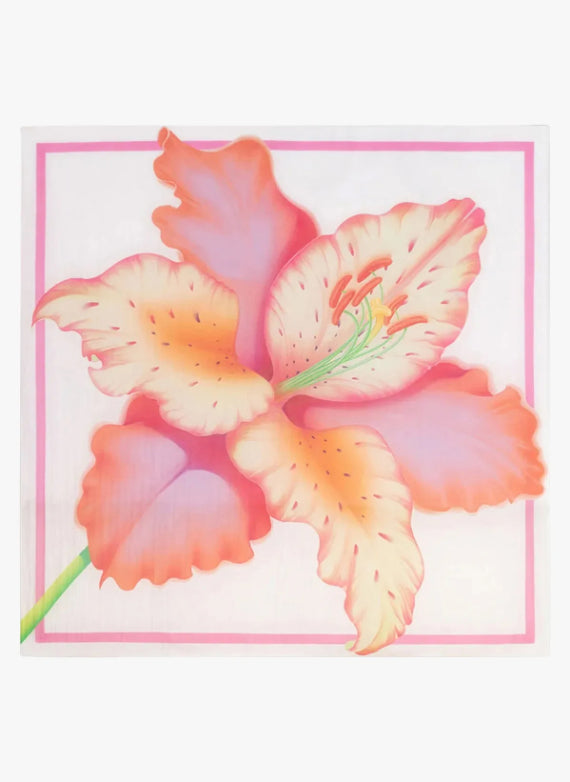 Ecru / Pink