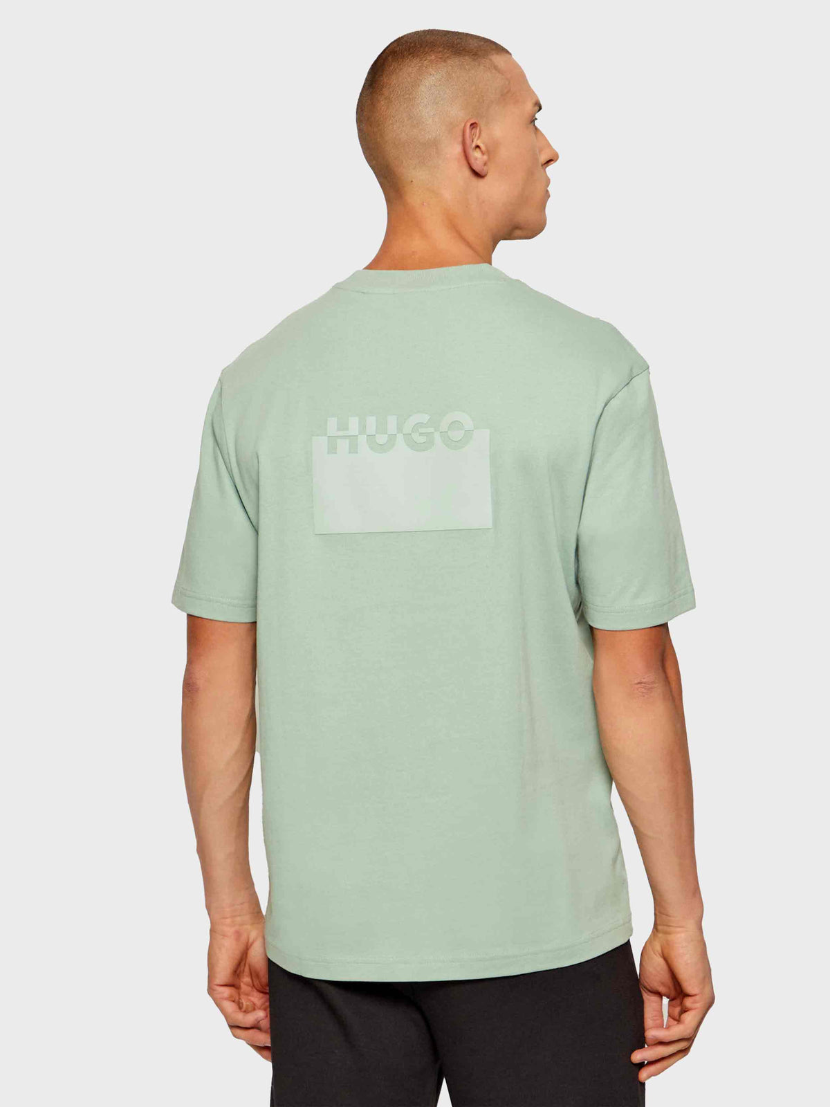 Light Pastel Green