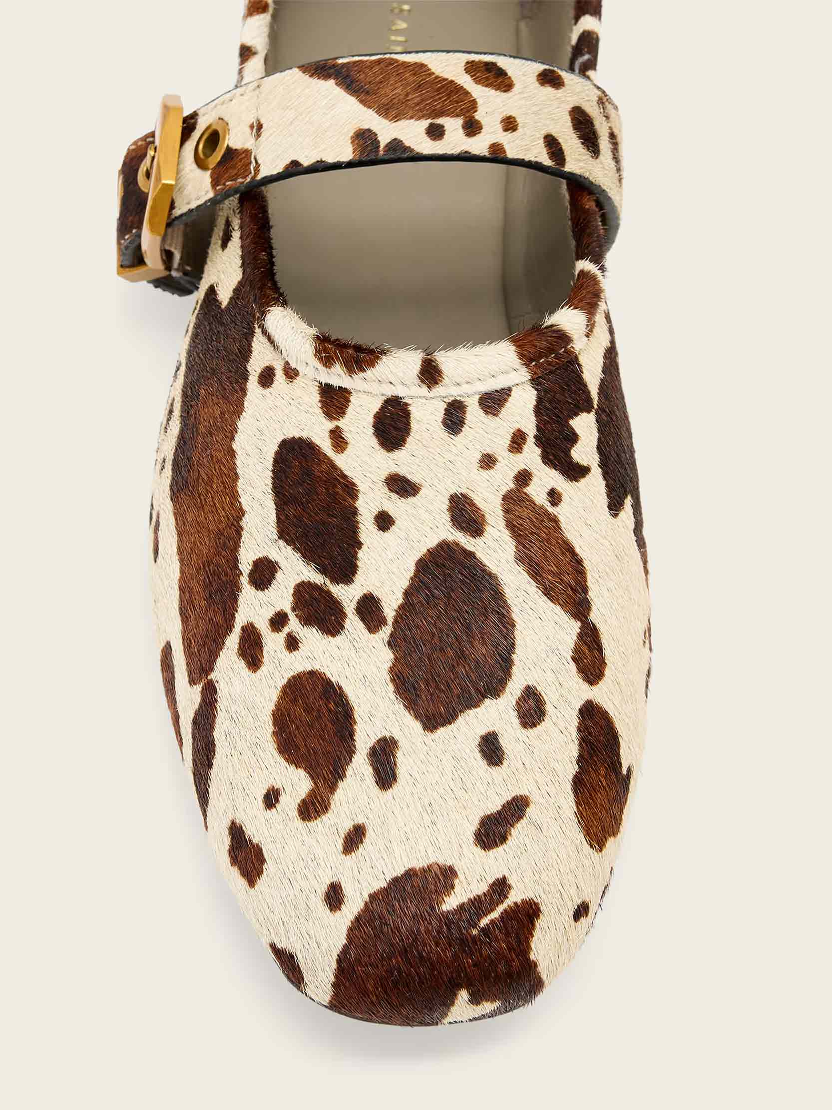 Cow Print