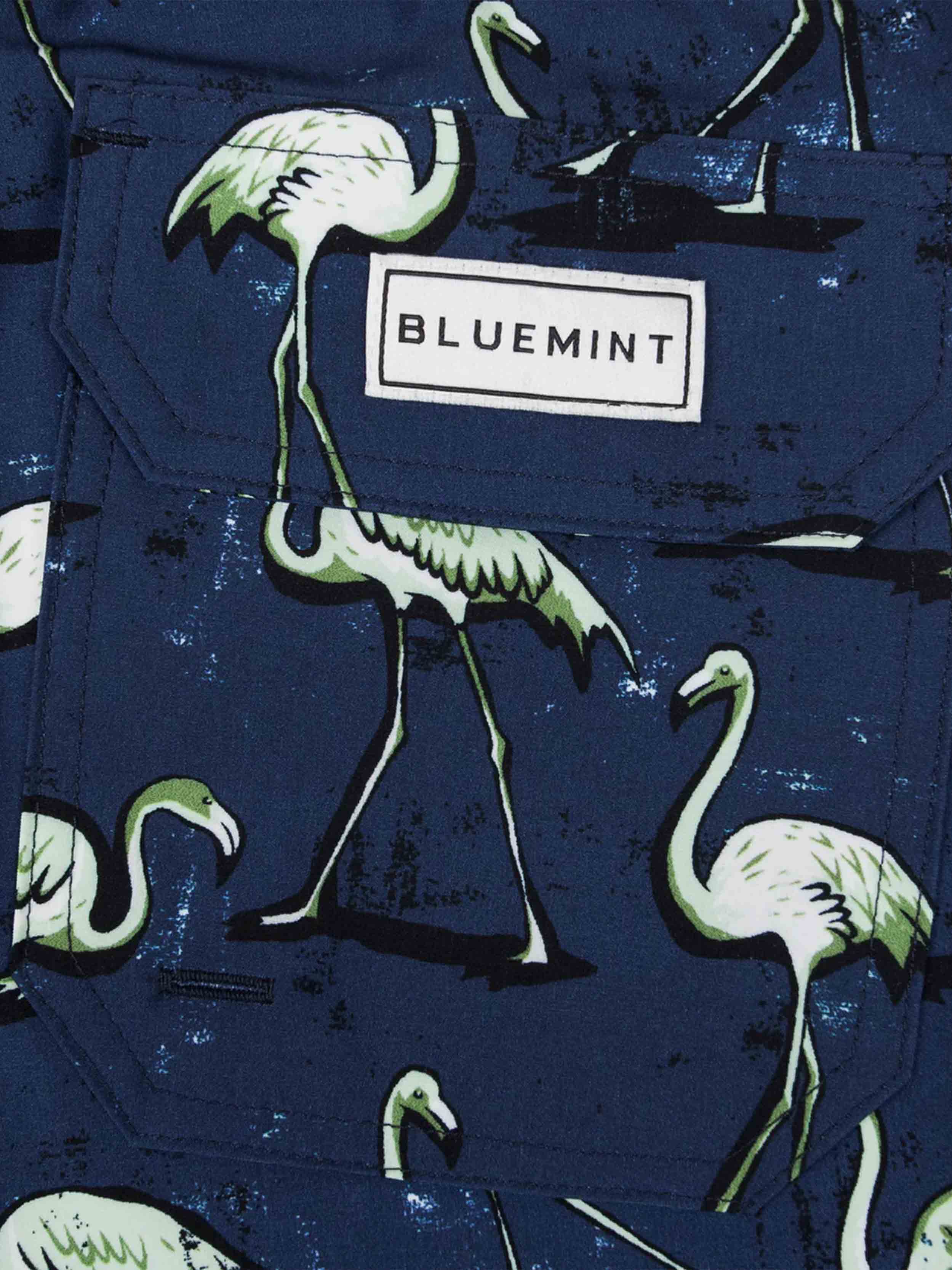 Green - Navy
