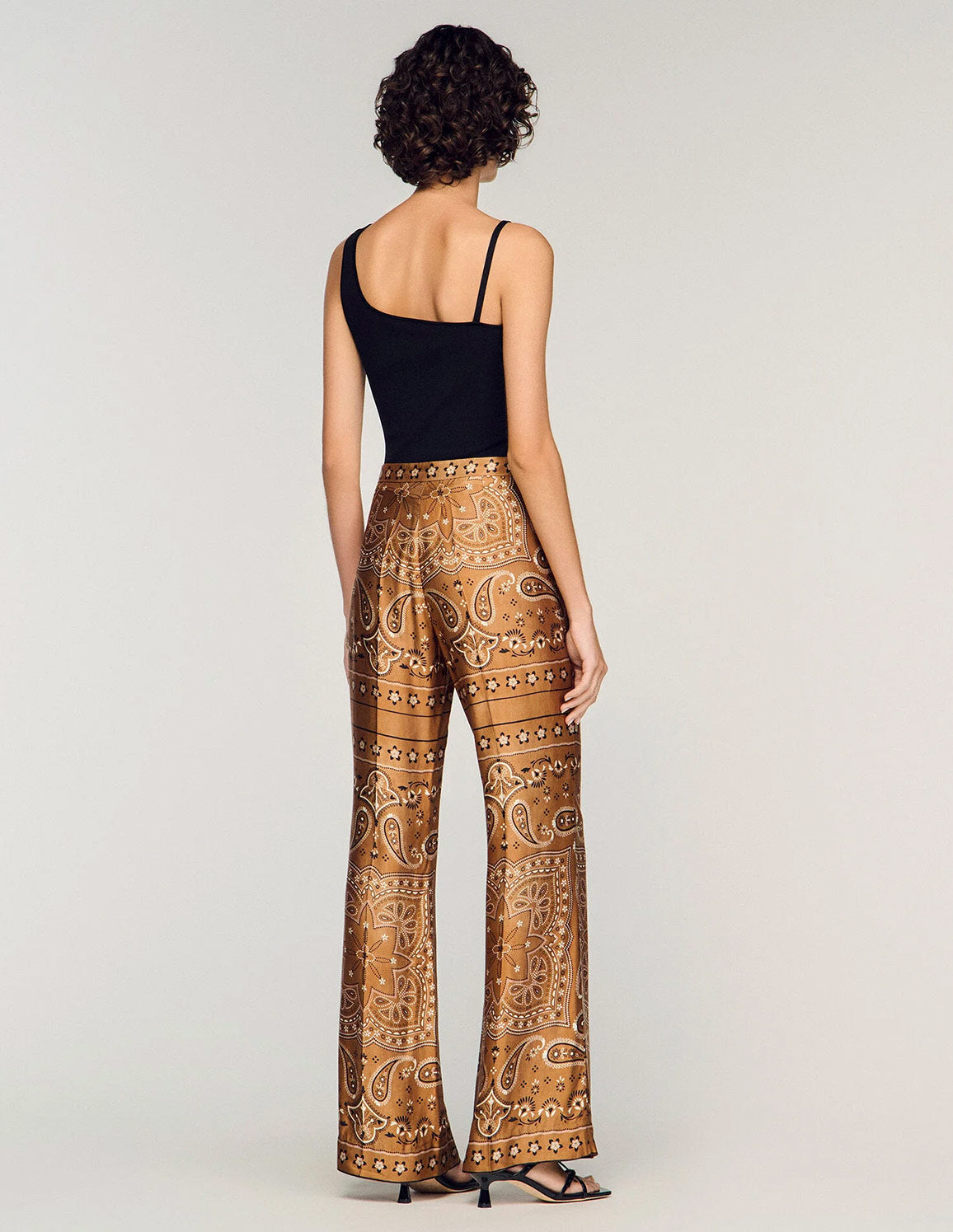 Brown / Black