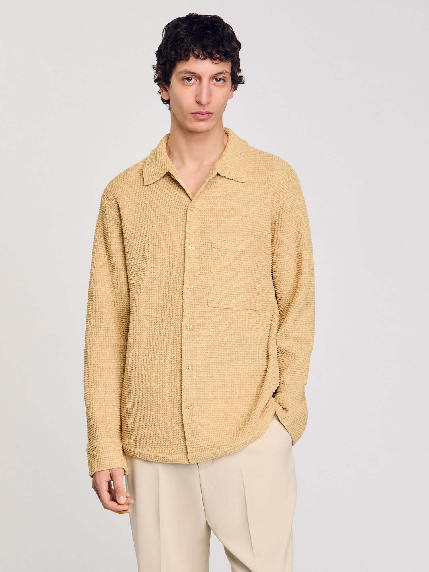 Light Camel