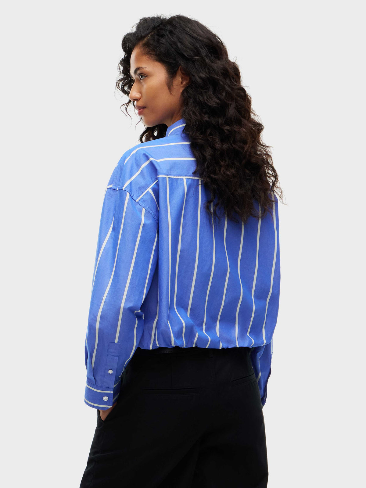 Blue Stripe
