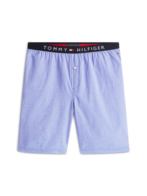 Desert Sky / Mini Gingham