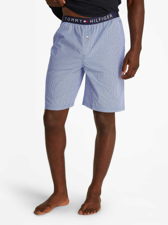 Desert Sky / Mini Gingham