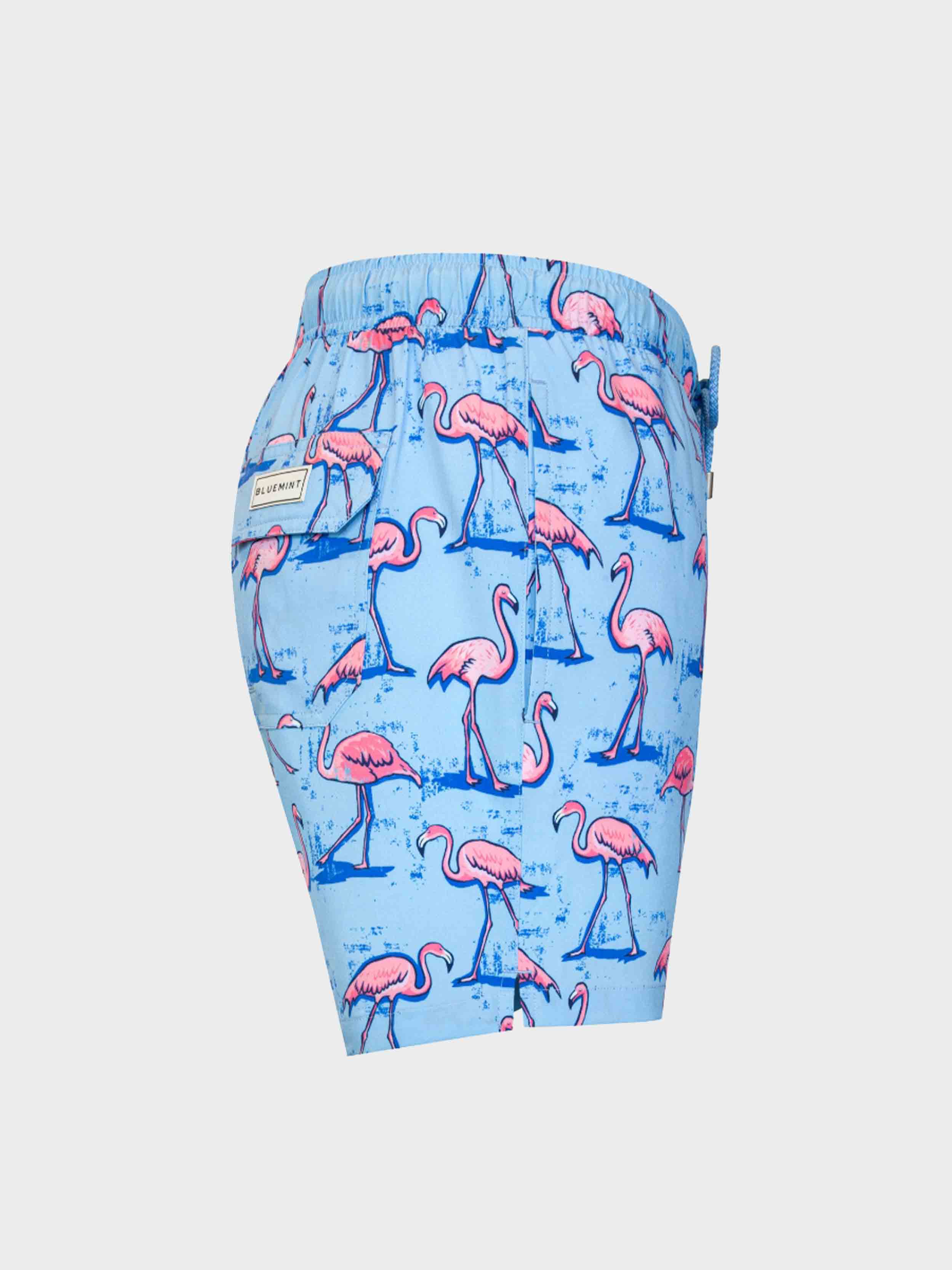 SKY BLUE FLAMINGO